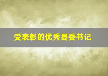 受表彰的优秀县委书记