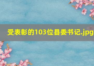 受表彰的103位县委书记