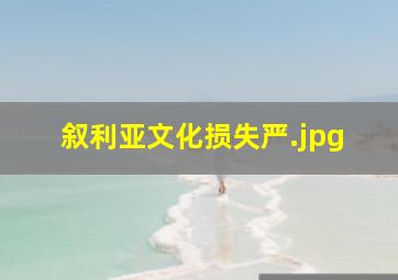 叙利亚文化损失严