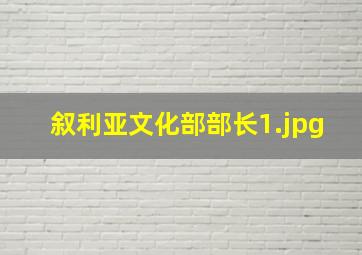 叙利亚文化部部长