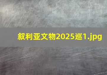 叙利亚文物2025巡