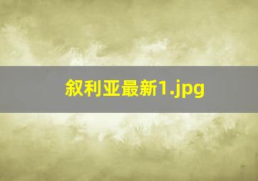 叙利亚最新