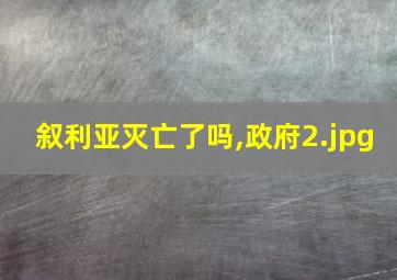 叙利亚灭亡了吗,政府