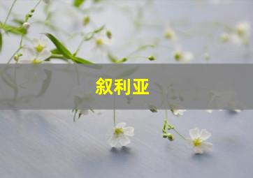 叙利亚 