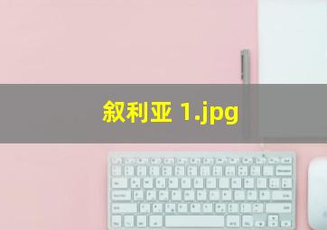 叙利亚 