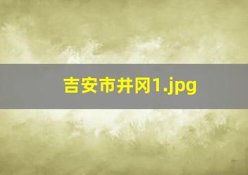 吉安市井冈