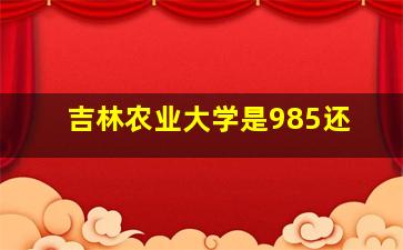 吉林农业大学是985还