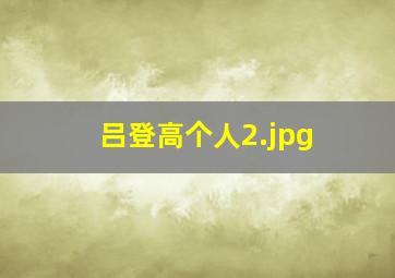 吕登高个人