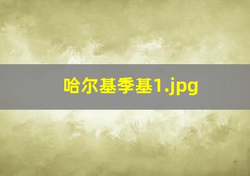 哈尔基季基