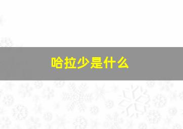 哈拉少是什么
