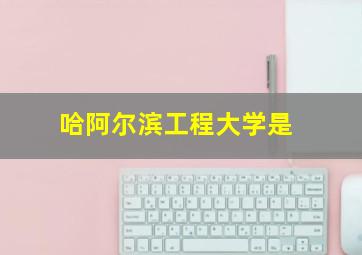 哈阿尔滨工程大学是