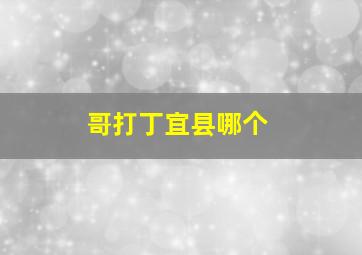 哥打丁宜县哪个