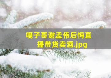嘎子哥谢孟伟后悔直播带货卖酒