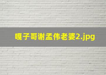嘎子哥谢孟伟老婆