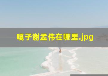 嘎子谢孟伟在哪里