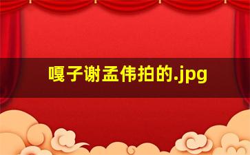 嘎子谢孟伟拍的