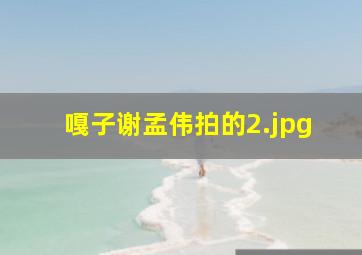 嘎子谢孟伟拍的