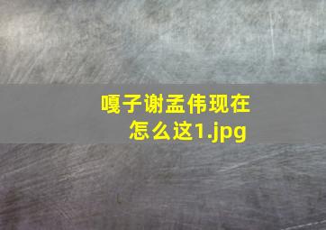 嘎子谢孟伟现在怎么这