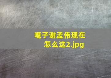 嘎子谢孟伟现在怎么这