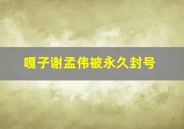 嘎子谢孟伟被永久封号