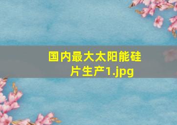 国内最大太阳能硅片生产