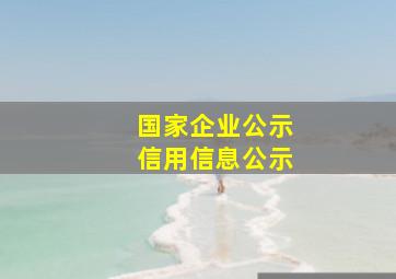 国家企业公示信用信息公示