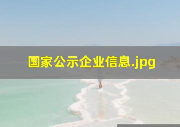 国家公示企业信息