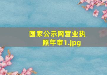 国家公示网营业执照年审