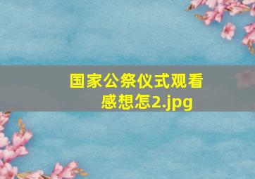 国家公祭仪式观看感想怎