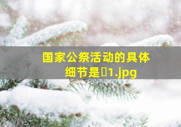 国家公祭活动的具体细节是�