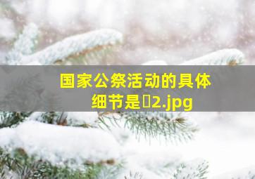 国家公祭活动的具体细节是�