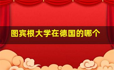 图宾根大学在德国的哪个