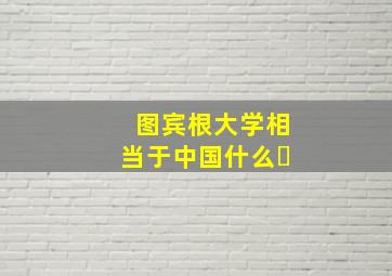 图宾根大学相当于中国什么�