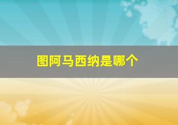 图阿马西纳是哪个