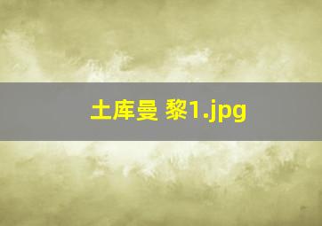 土库曼 黎