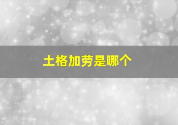 土格加劳是哪个