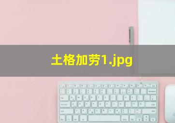 土格加劳
