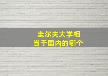圭尔夫大学相当于国内的哪个