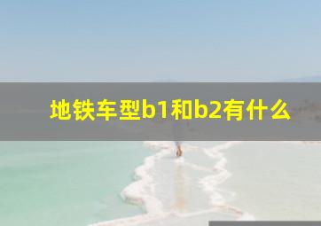 地铁车型b1和b2有什么