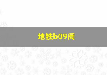 地铁b09阀