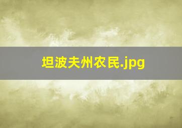 坦波夫州农民