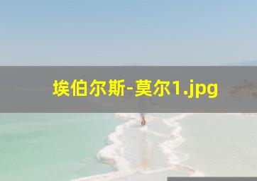 埃伯尔斯-莫尔