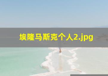 埃隆马斯克个人