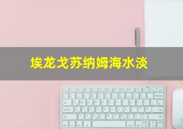 埃龙戈苏纳姆海水淡