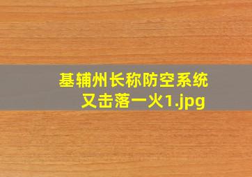 基辅州长称防空系统又击落一火