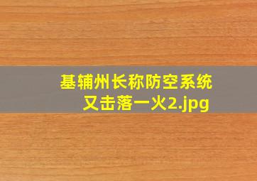 基辅州长称防空系统又击落一火