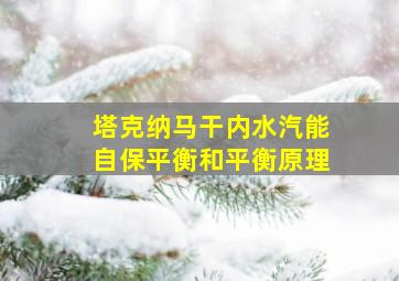 塔克纳马干内水汽能自保平衡和平衡原理