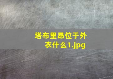 塔布里昂位于外衣什么