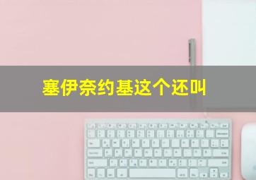 塞伊奈约基这个还叫