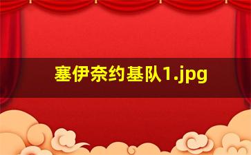 塞伊奈约基队